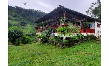 Finca productiva para la venta en San Isidro Valle 13 cuadras