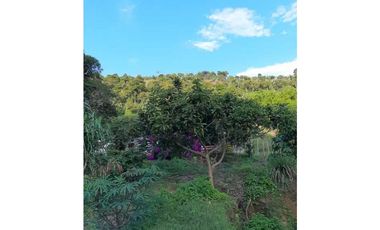 Finca productiva para la venta en San Isidro Valle 13 cuadras