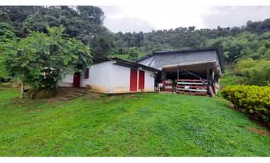 Finca productiva para la venta en San Isidro Valle 13 cuadras