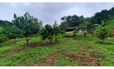 Finca productiva para la venta en San Isidro Valle 13 cuadras