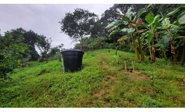 Finca productiva para la venta en San Isidro Valle 13 cuadras