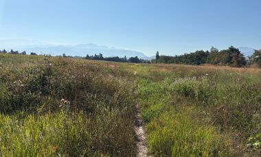 VENDO , PROYECTO EXCLUSIVO – PARCELAS EN VENTA – CRUCE TINGUIRIRICA, SAN FERNANDO