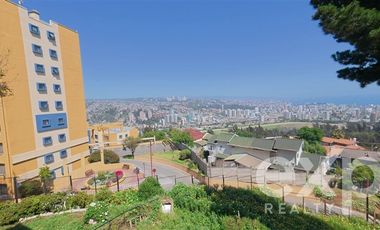 Departamento en Arriendo en Calle El Paltp | Miraflores Alto