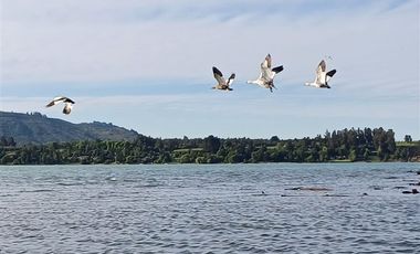 Parcela en Venta en Lago Colbún