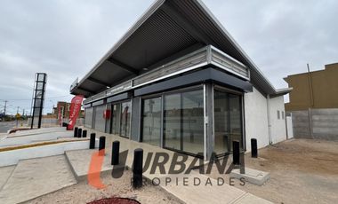 LOCALES COMERCIALES AVENIDA EL SAUCE - COQ.