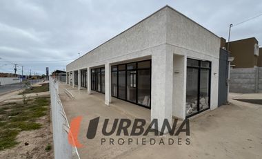 AMPLIO LOCAL COMERCIAL AVENIDA EL SAUCE