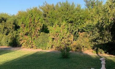 PRECIOSA PARCELA DE AGRADO EN COLINA - LIRAY