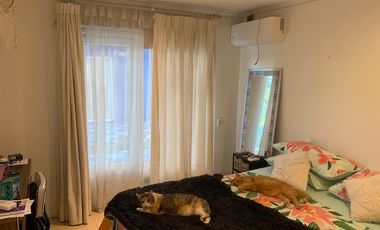 PRECIOSA PARCELA DE AGRADO EN COLINA - LIRAY