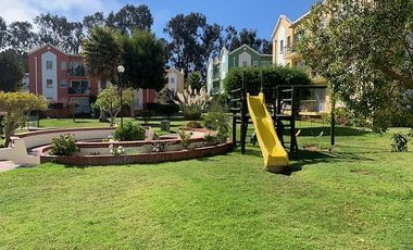 DEPARTAMENTO AMOBLADO EN ALGARROBO - MIRASOL