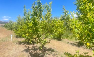 Parcela en venta en LOS ANDES