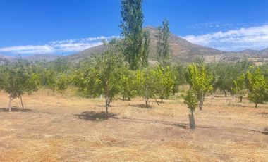 Parcela en venta en LOS ANDES