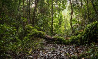 Parcela en venta en QUELLÓN