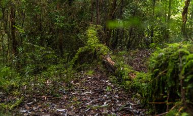 Parcela en venta en QUELLÓN