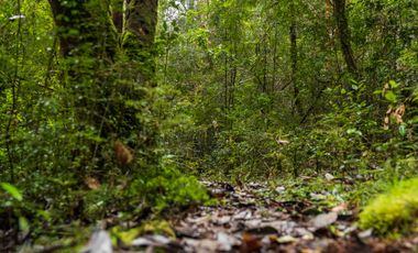 Parcela en venta en QUELLÓN