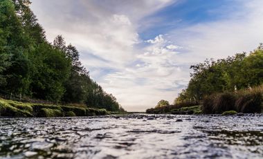 Parcela en venta en QUELLÓN