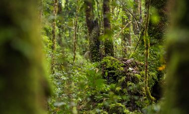 Parcela en venta en QUELLÓN