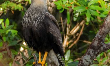 Parcela en venta en QUELLÓN