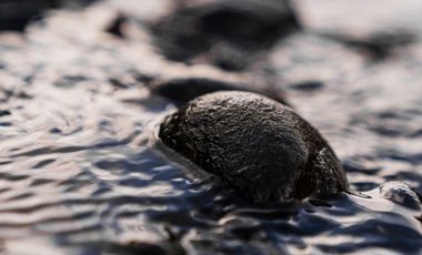 Parcela en venta en QUELLÓN