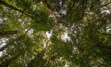 Parcela en venta en QUELLÓN