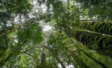 Parcela en venta en QUELLÓN