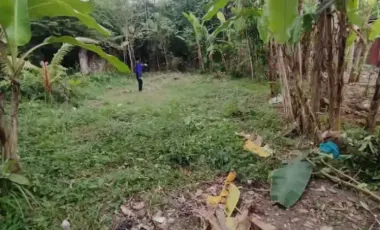 TANAH 742M2 TRENGGALEK JATIM