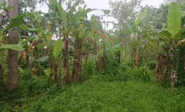 TANAH 742M2 TRENGGALEK JATIM