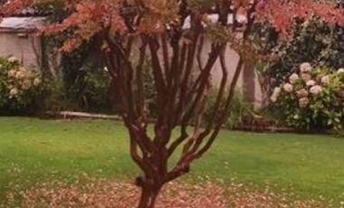 Casa en Venta en Calle 4 1/2 Norte con 37 oriente