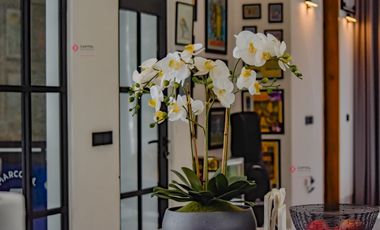 Casa Moderna de Una Planta en Santa Anita Rancho Zona Sur Lujo