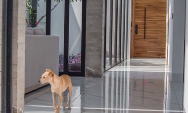 Casa Moderna de Una Planta en Santa Anita Rancho Zona Sur Lujo