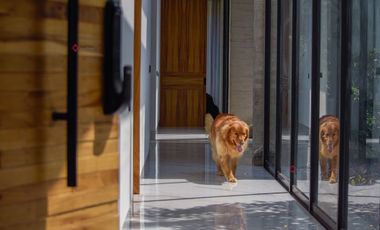 Casa Moderna de Una Planta en Santa Anita Rancho Zona Sur Lujo