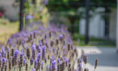 Casa Moderna de Una Planta en Santa Anita Rancho Zona Sur Lujo