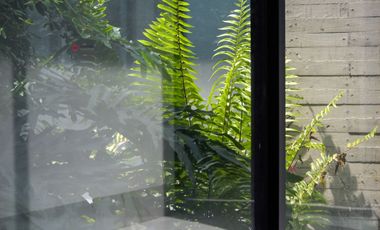 Casa Moderna de Una Planta en Santa Anita Rancho Zona Sur Lujo