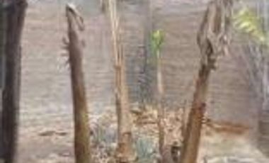 Venta Casa 252 m2 Coishco - Santa - Ancash