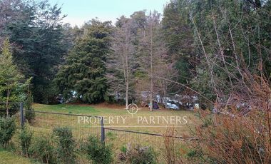 Propiedad comercial en Neltume