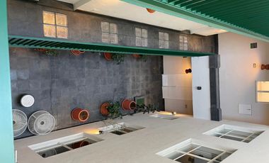 Departamento en Renta, Colonia San Rafael