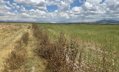 Terreno Comercial ESCRITURADO - Tolcayuca Hidalgo