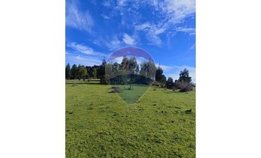 Terreno de 3 hectáreas en Fresia