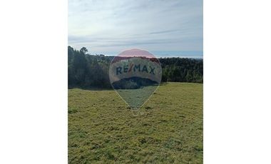 Terreno de 3 hectáreas en Fresia