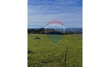 Terreno de 3 hectáreas en Fresia