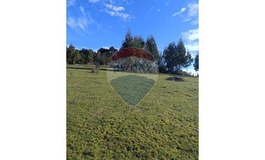 Terreno de 3 hectáreas en Fresia