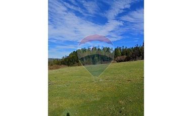 Terreno de 3 hectáreas en Fresia