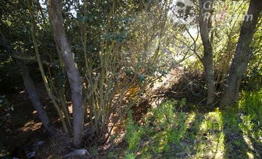 Agrícola en Venta en COLLIGUAY