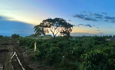 LOTE EN VENTA EN LA MESA QUIMBAYA