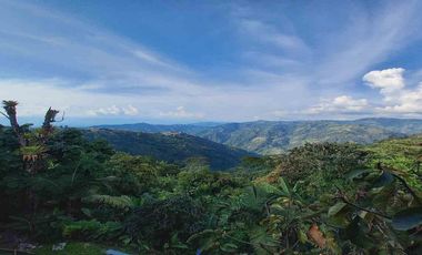 APARTAMENTO EN ARRIENDO EN SAN ISIDRO/MANIZALES