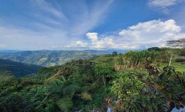 APARTAMENTO EN ARRIENDO EN SAN ISIDRO/MANIZALES