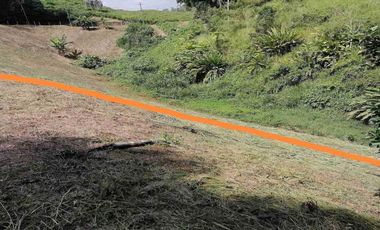 LOTE EN VENTA EN COMBIA/PEREIRA