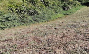 LOTE EN VENTA EN COMBIA/PEREIRA