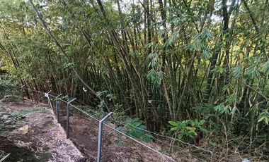 EDIFICIO EN ARRIENDO EN ZONA CENTRO/ARMENIA