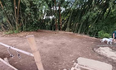 EDIFICIO EN ARRIENDO EN ZONA CENTRO/ARMENIA