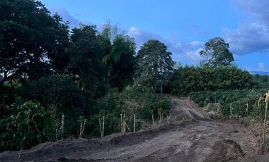 LOTE EN VENTA EN LA MESA QUIMBAYA/QUINDIO